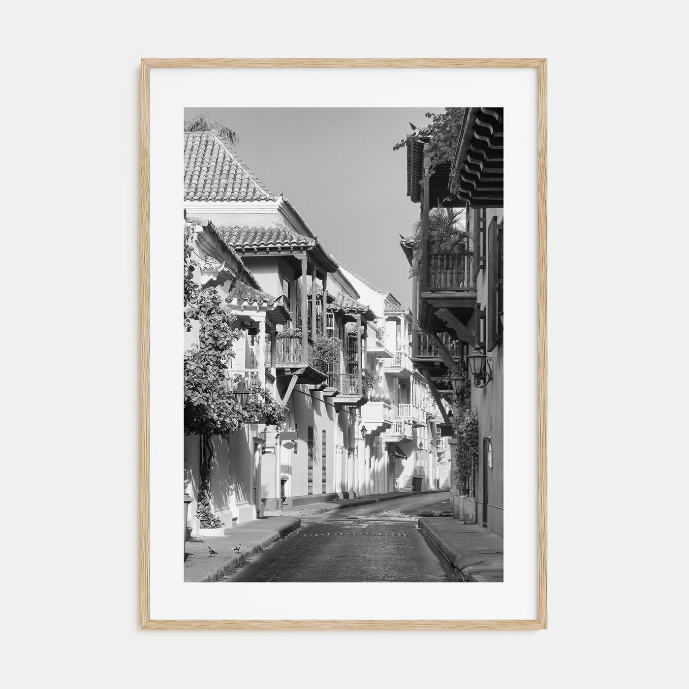 Colombia Photo B&W Poster