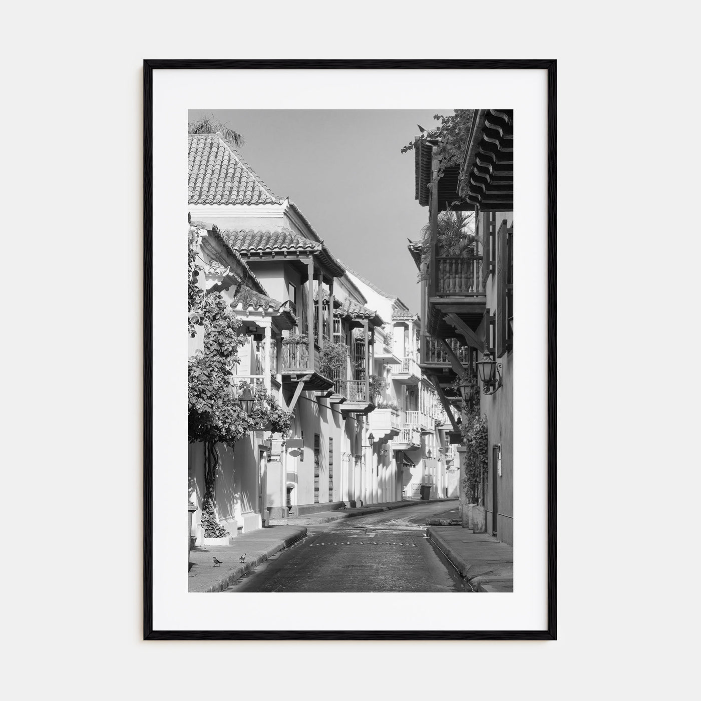 Colombia Photo B&W Poster