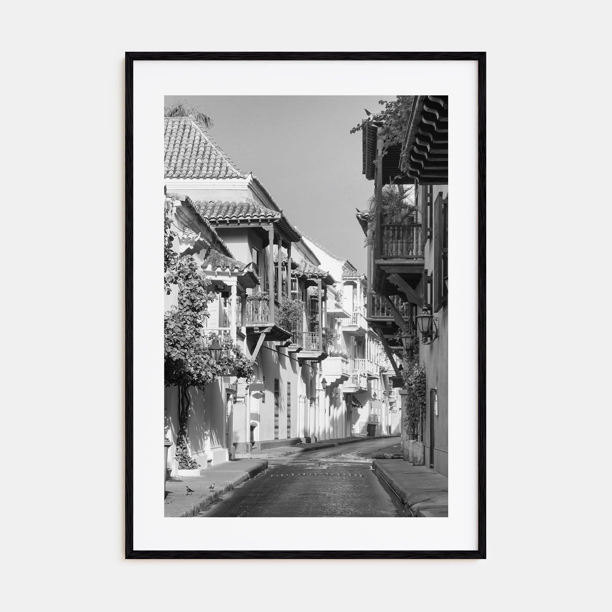 Colombia Photo B&W Poster