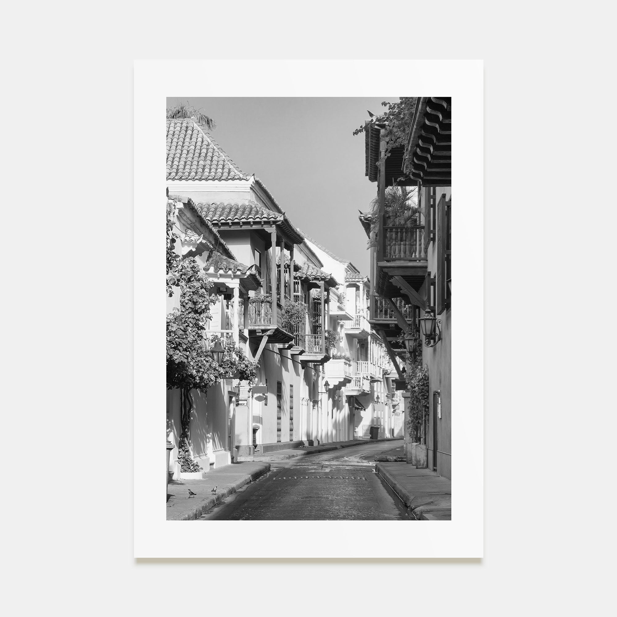 Colombia Photo B&W Poster