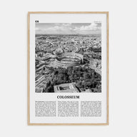 Colosseum Travel B&W Poster