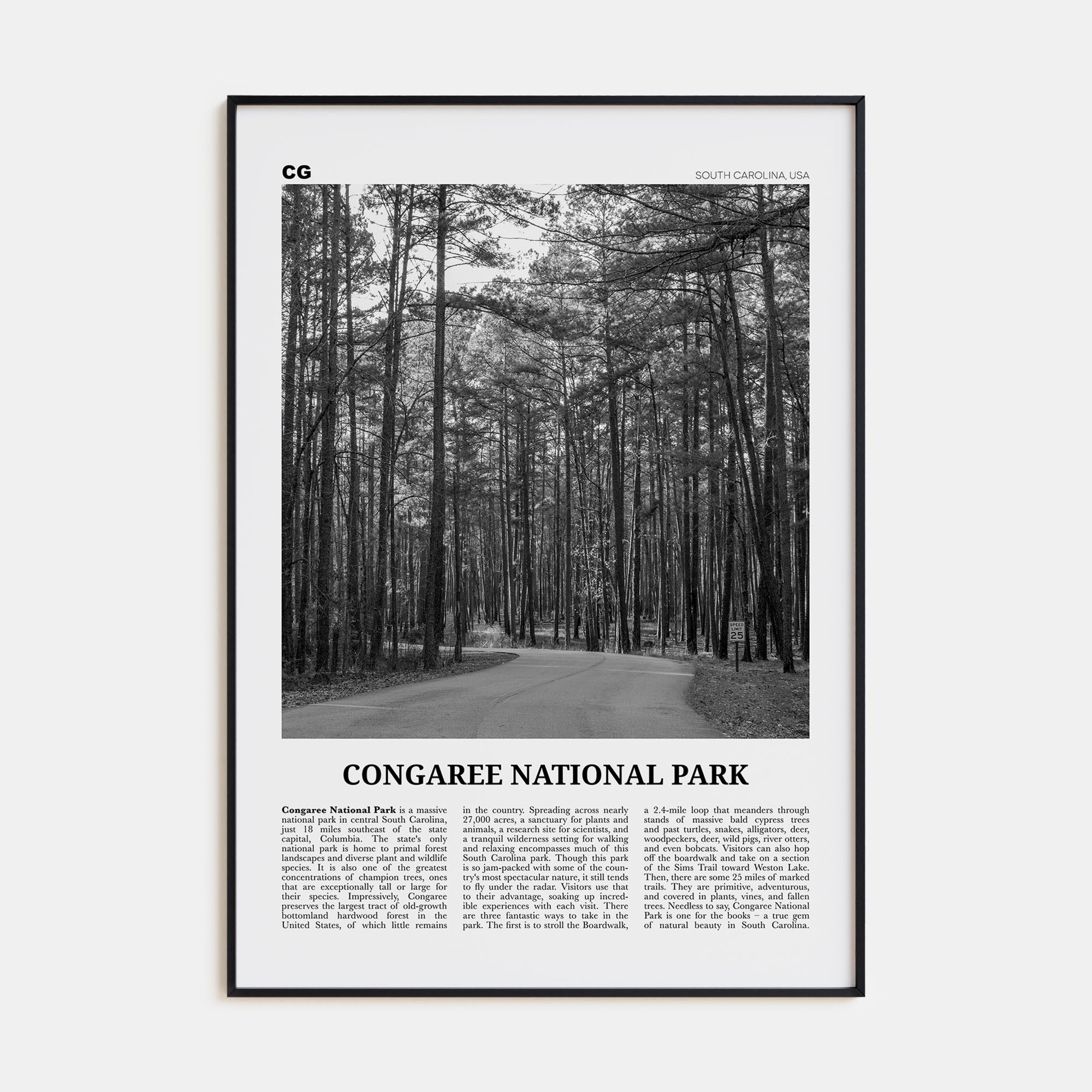 Congaree National Park Travel B&W Poster