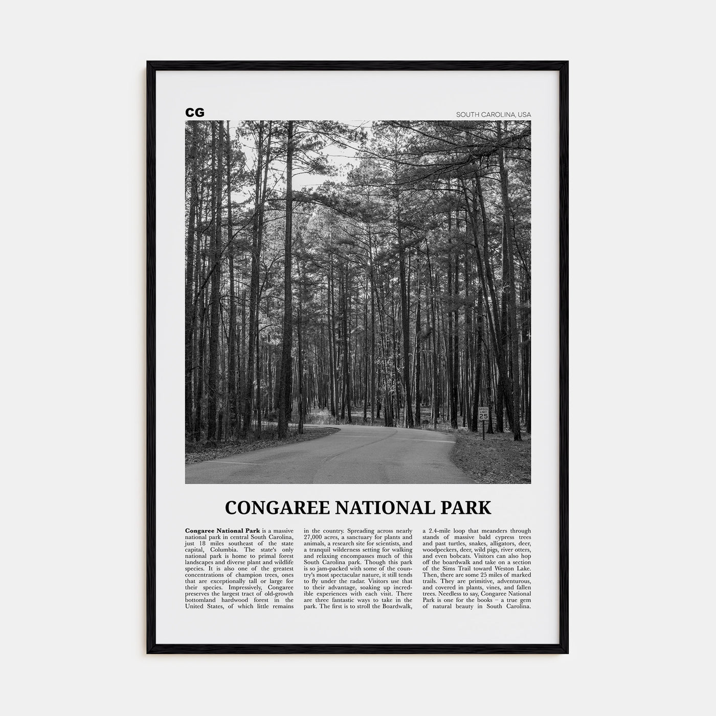 Congaree National Park Travel B&W Poster