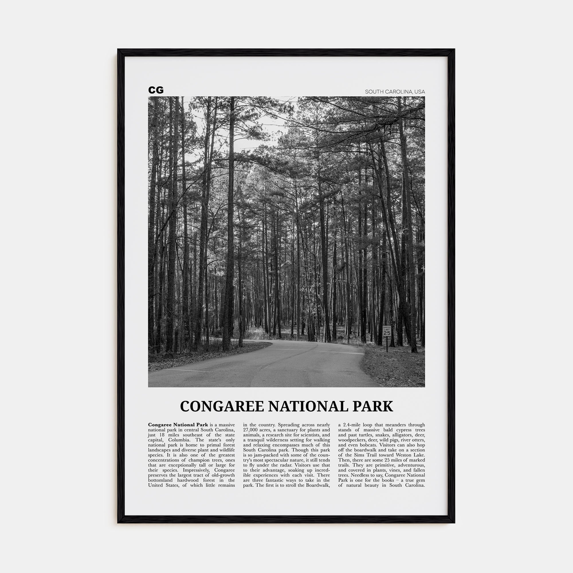 Congaree National Park Travel B&W Poster