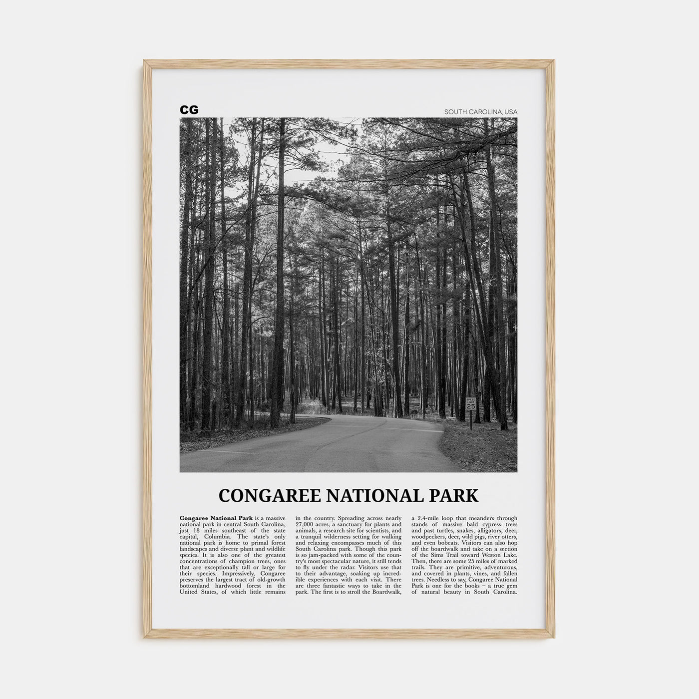 Congaree National Park Travel B&W Poster