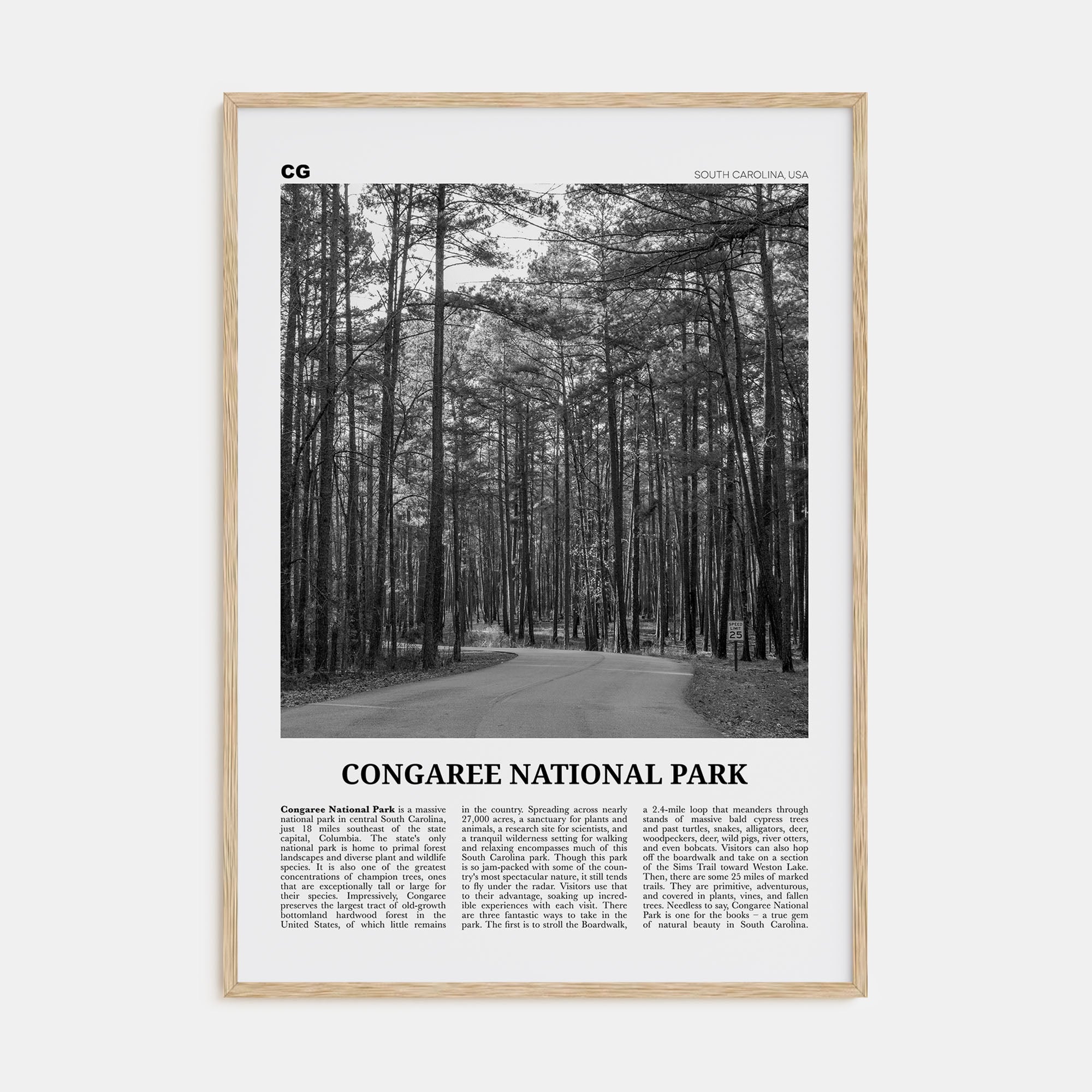 Congaree National Park Travel B&W Poster