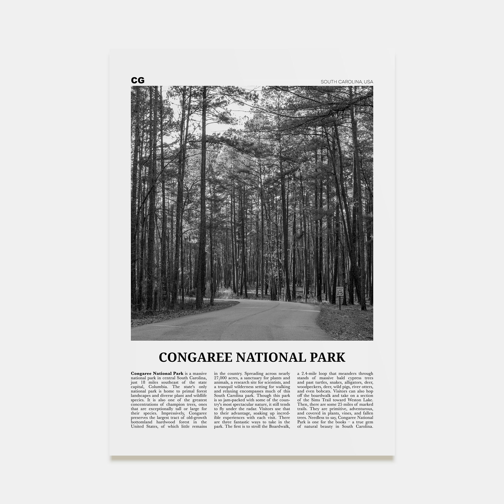 Congaree National Park Travel B&W Poster