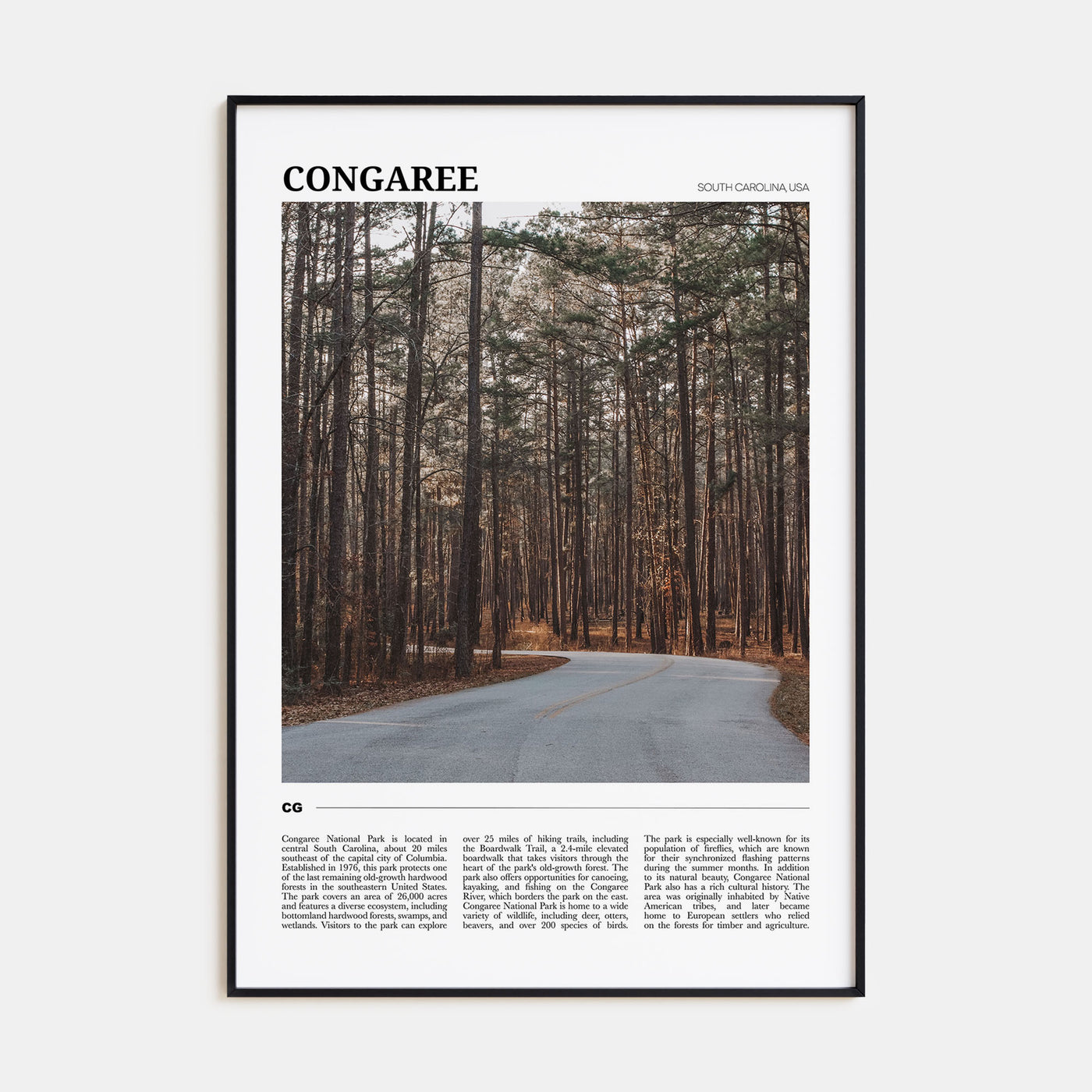 Congaree National Park Travel Color Poster