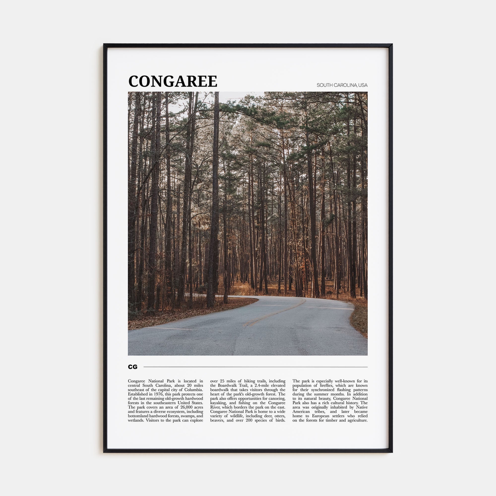 Congaree National Park Travel Color Poster