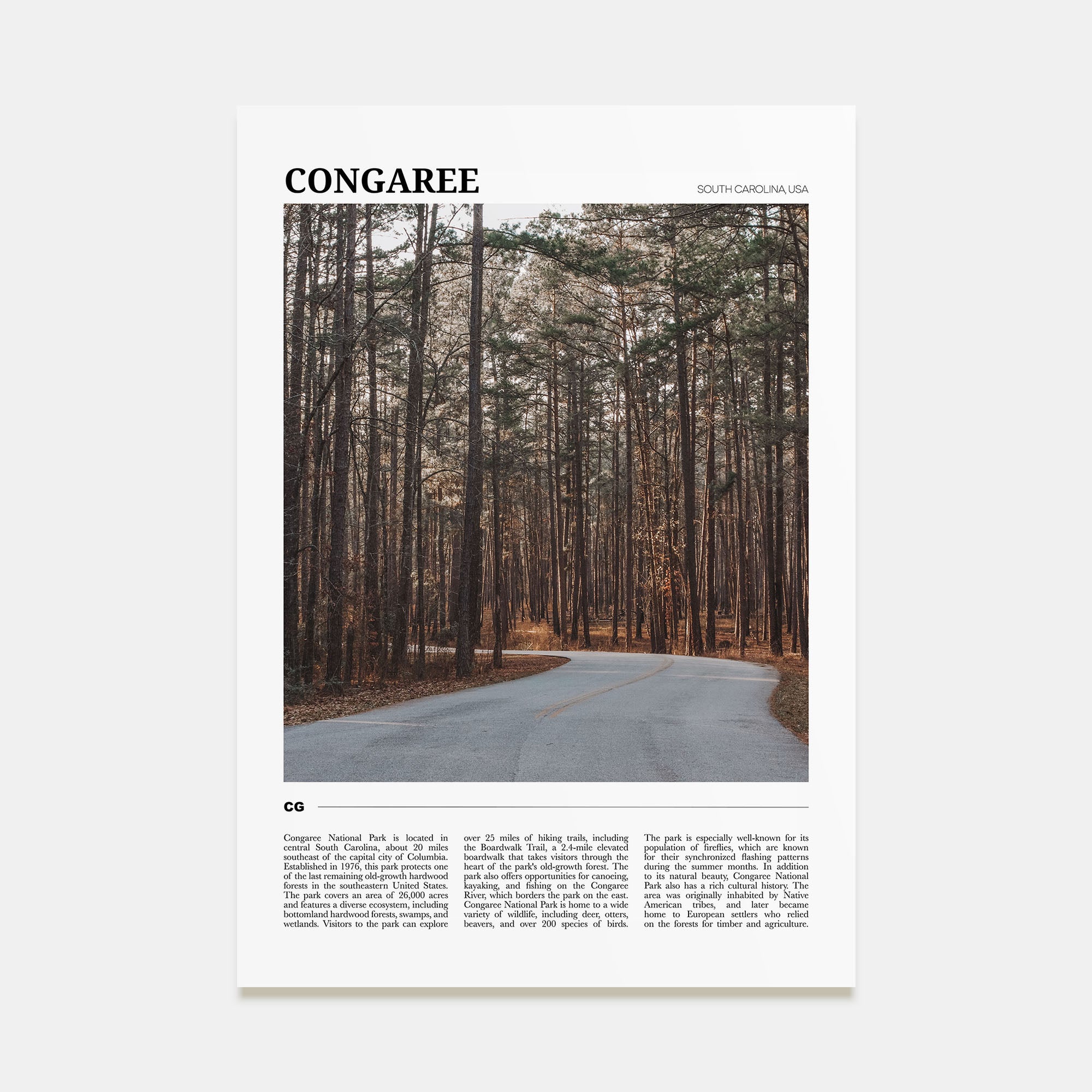 Congaree National Park Travel Color Poster
