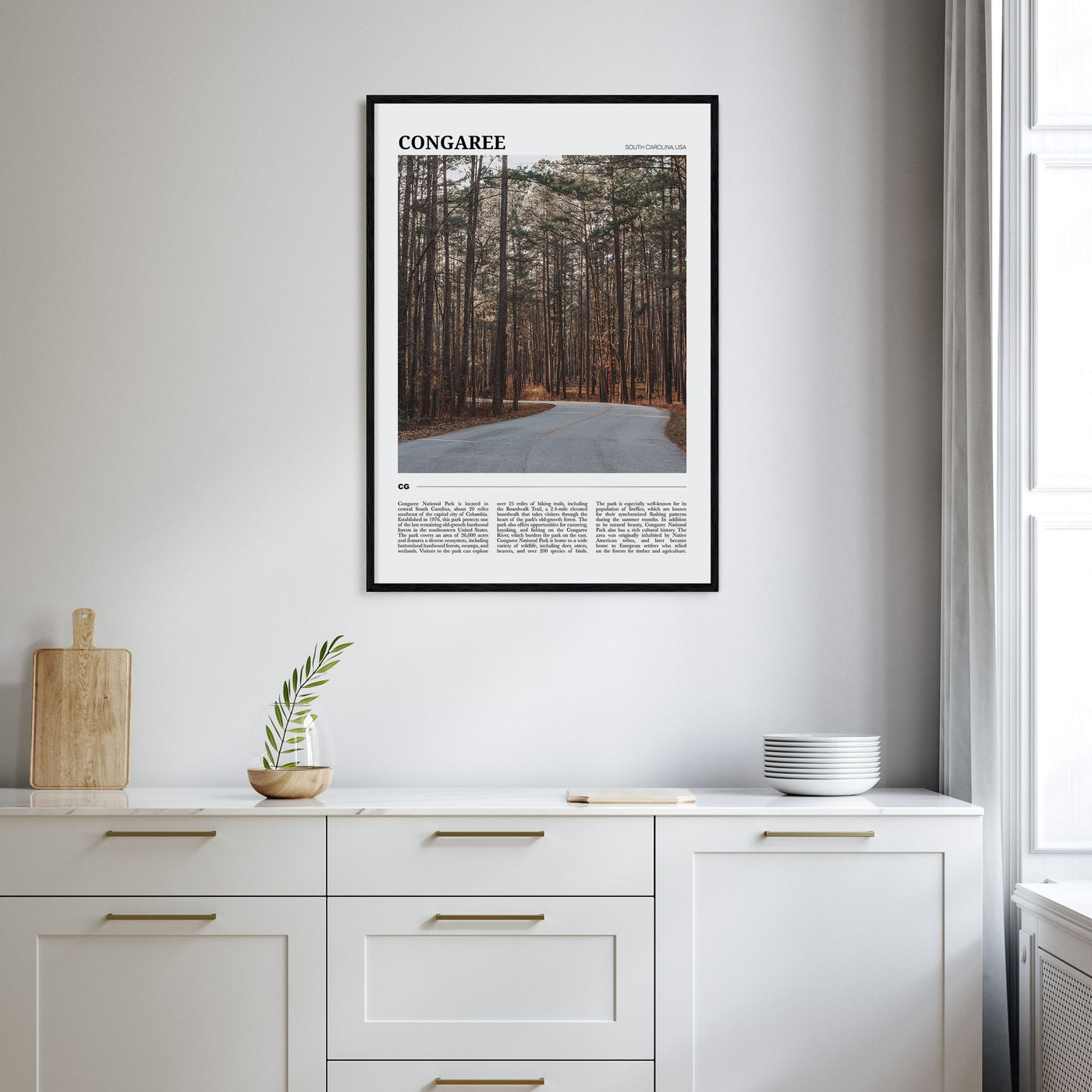 Congaree National Park Travel Color Poster