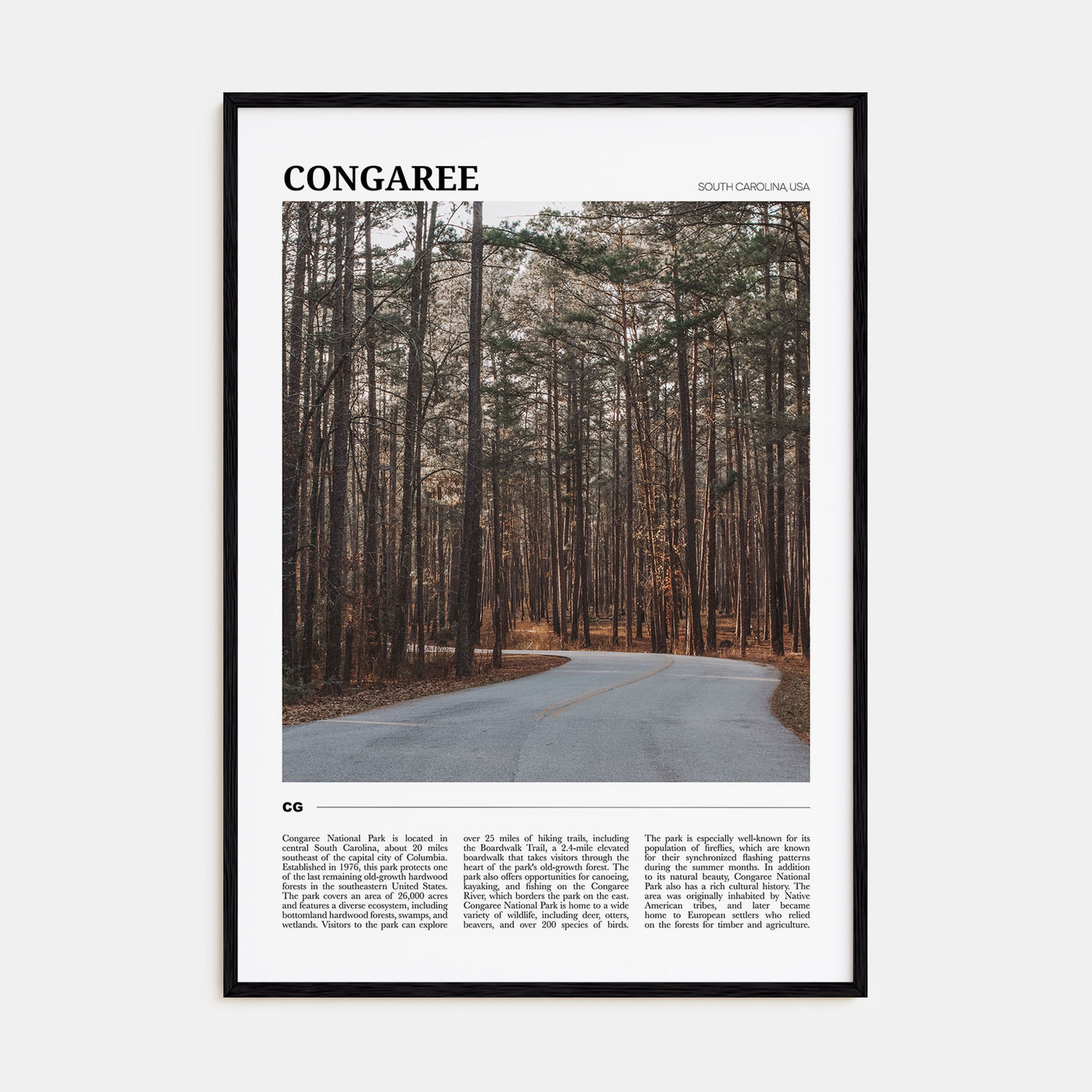 Congaree National Park Travel Color Poster