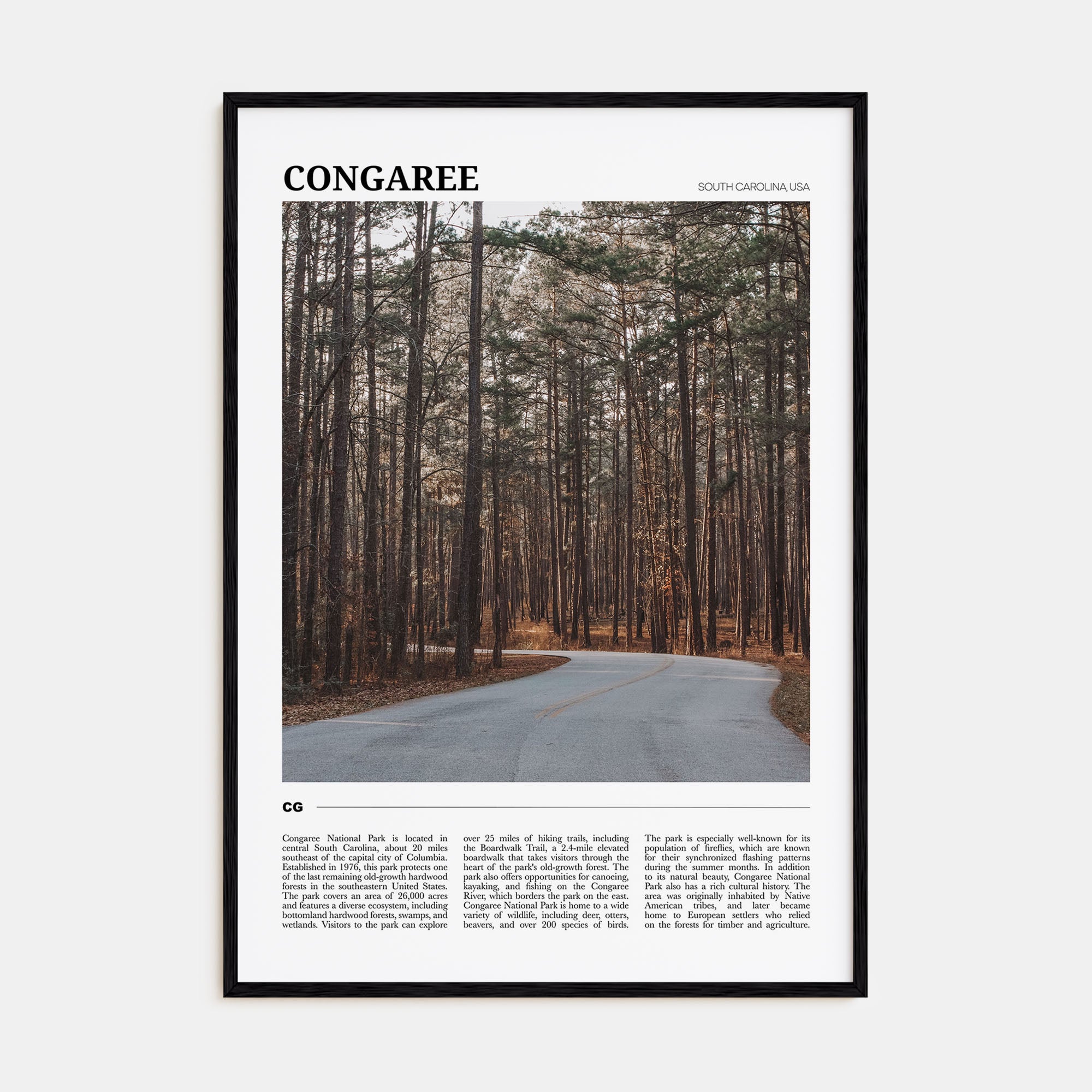 Congaree National Park Travel Color Poster