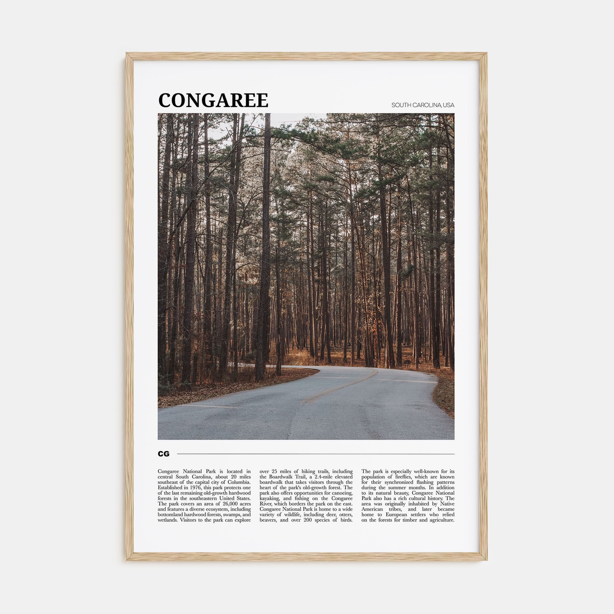 Congaree National Park Travel Color Poster