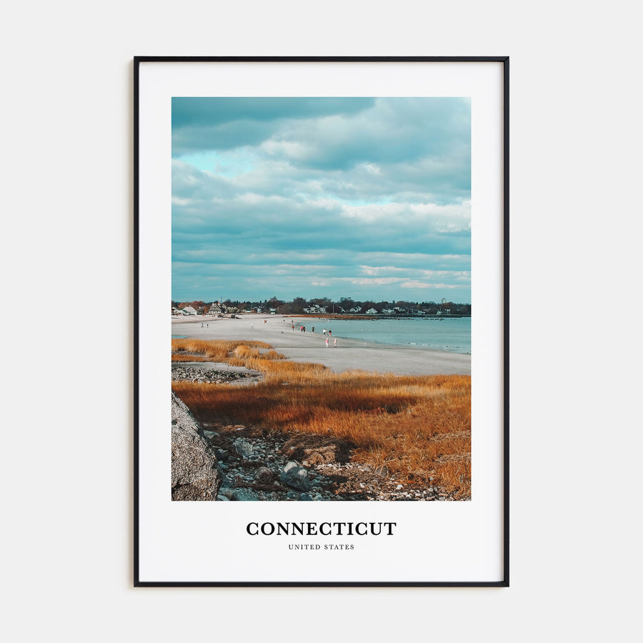Connecticut Portrait Color No 1 Poster
