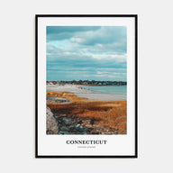 Connecticut Portrait Color No 1 Poster