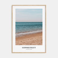 Connecticut Portrait Color No 2 Poster