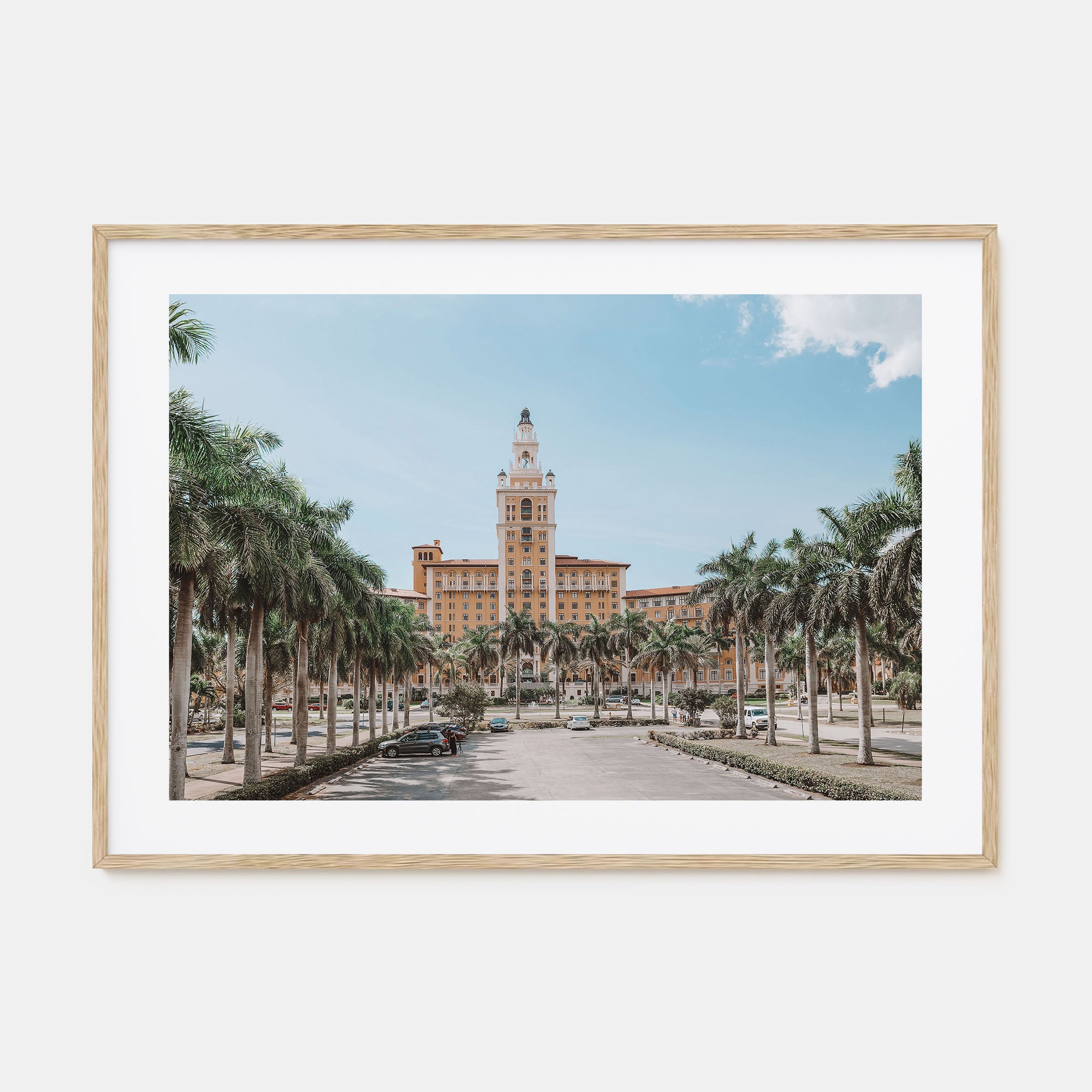 Coral Gables Landscape Color Poster