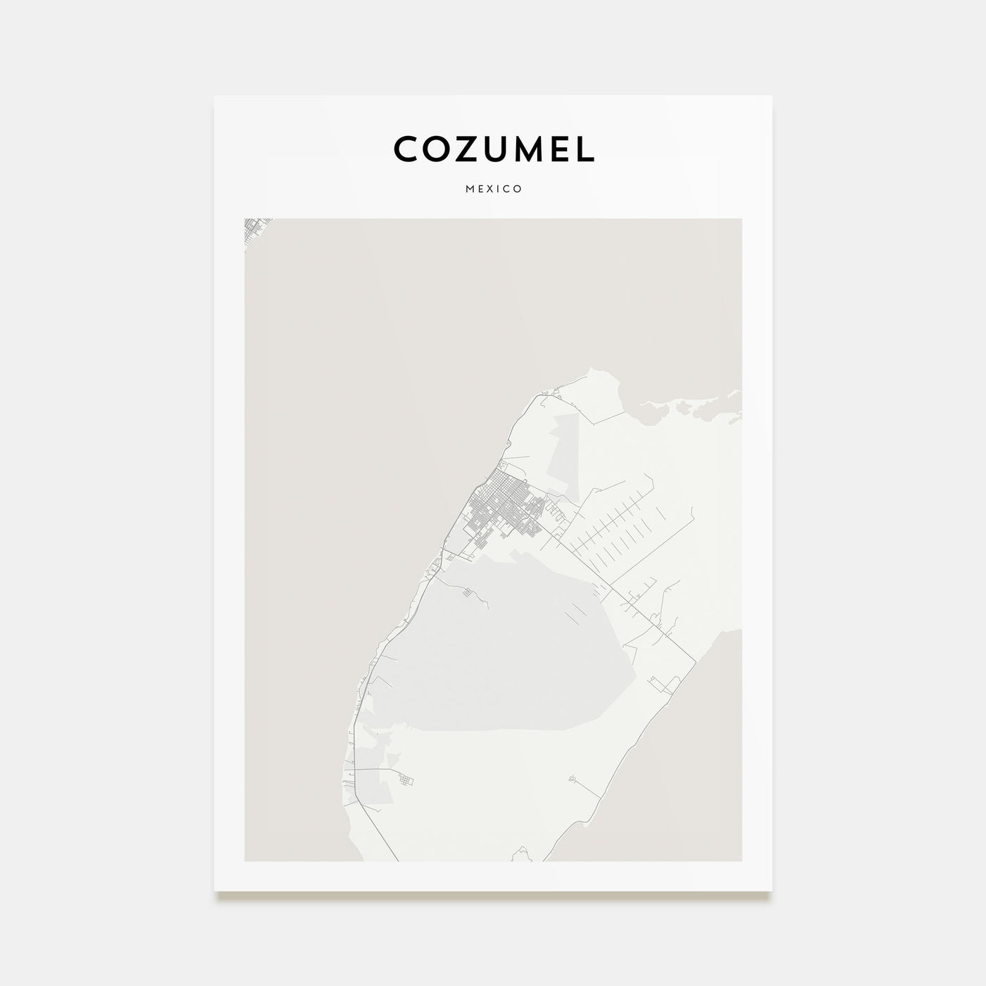 Cozumel Map Portrait Poster