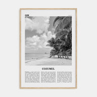 Cozumel Travel B&W Poster