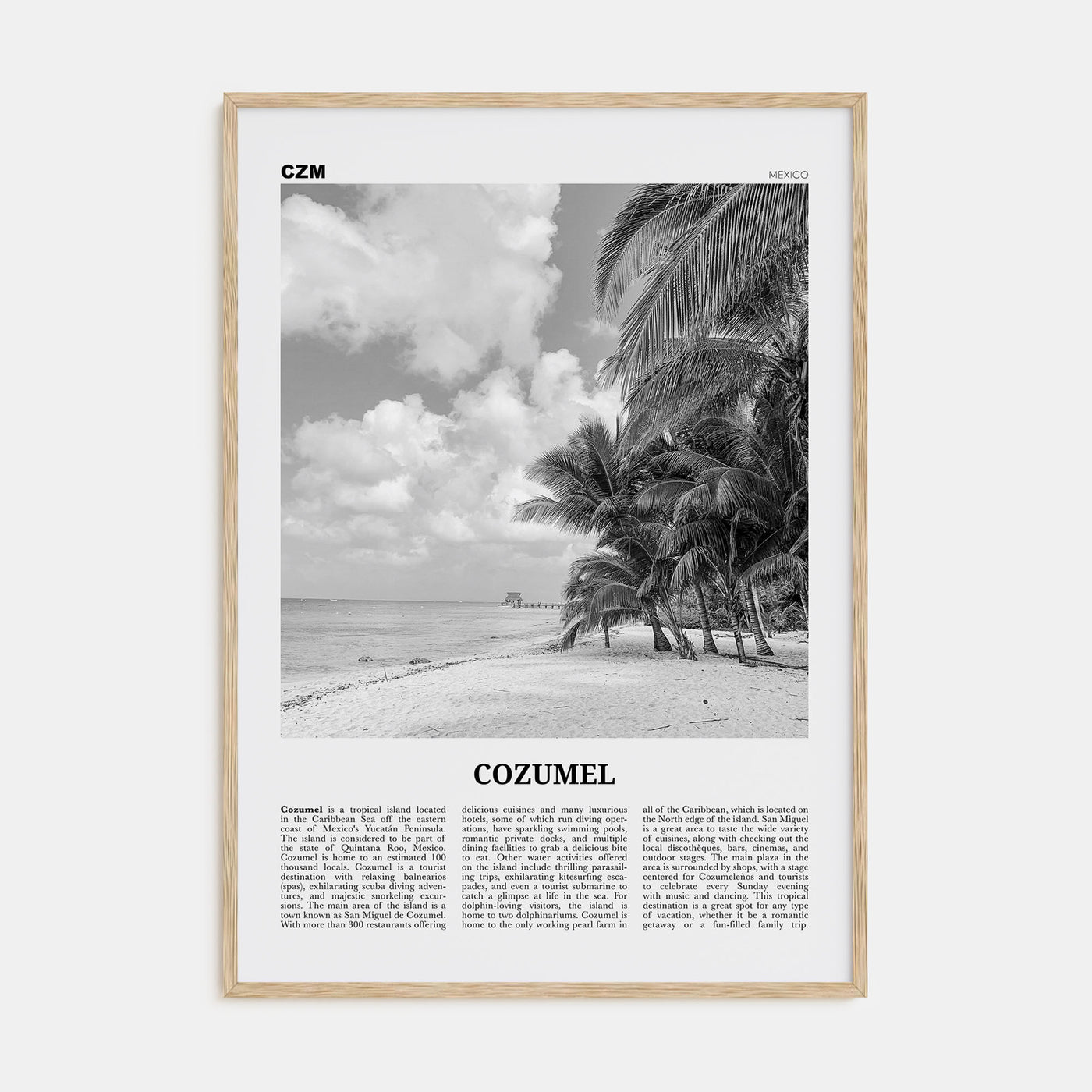Cozumel Travel B&W Poster