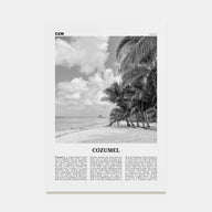 Cozumel Travel B&W Poster