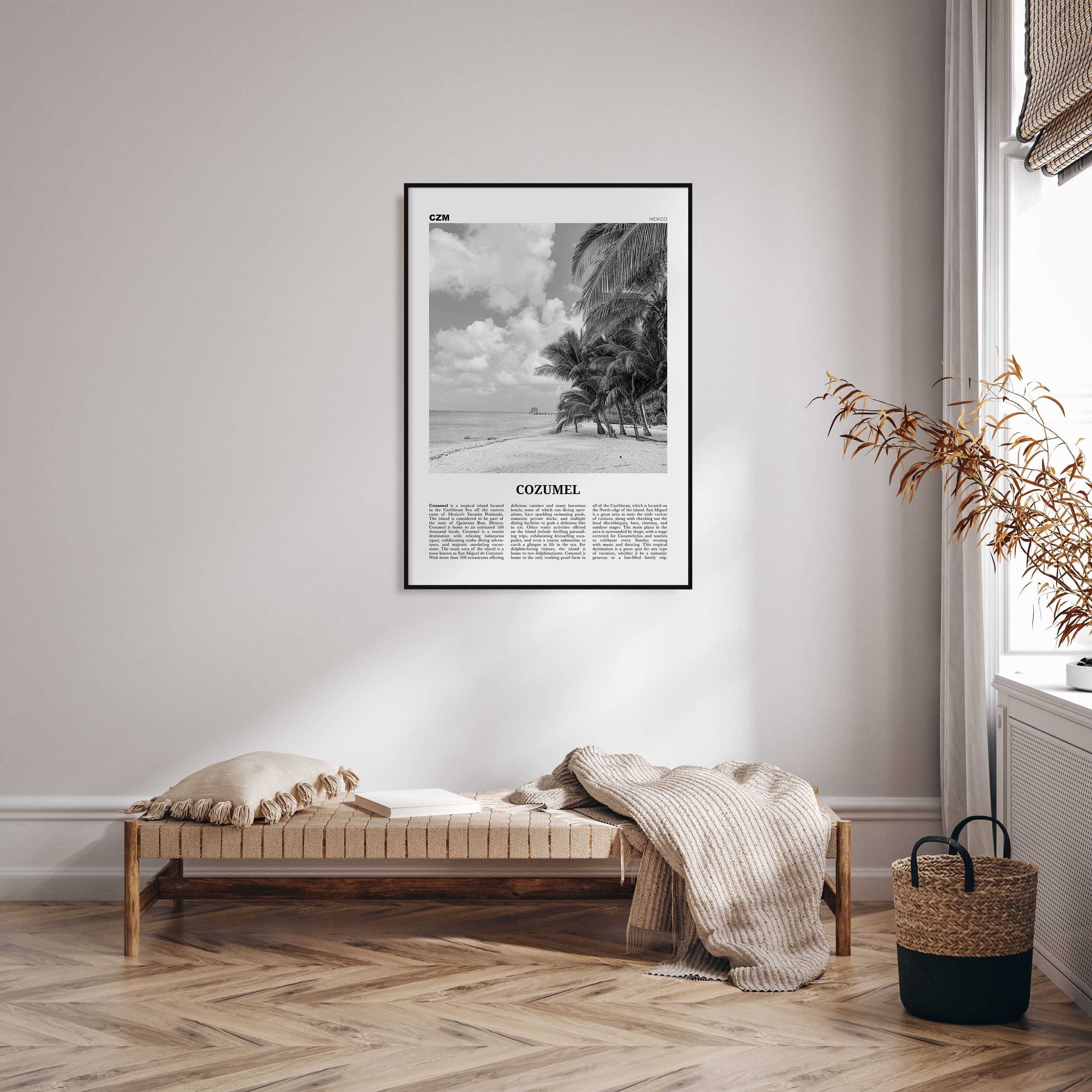 Cozumel Travel B&W Poster