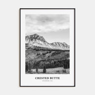 Crested Butte Portrait B&W Poster