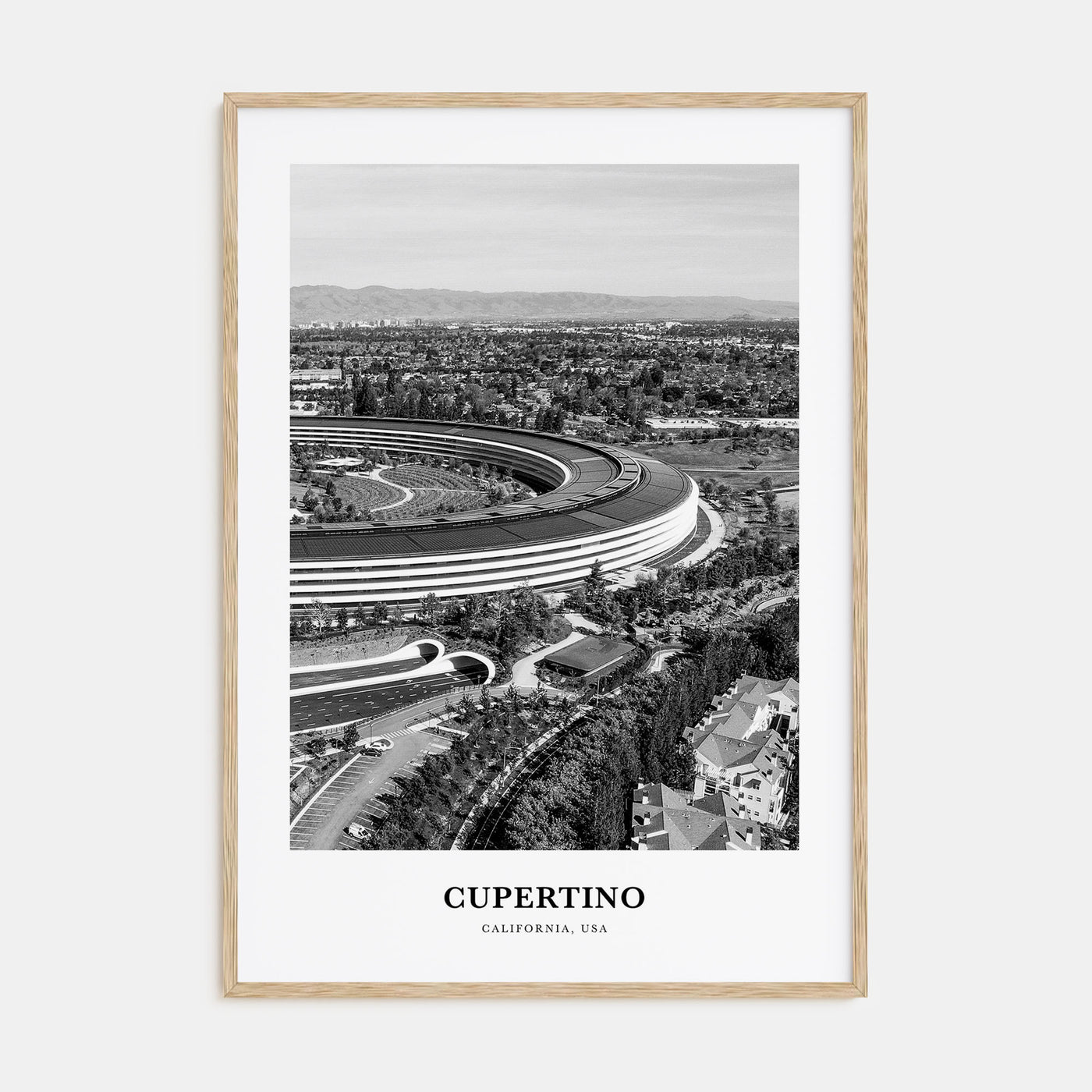 Cupertino Portrait B&W Poster