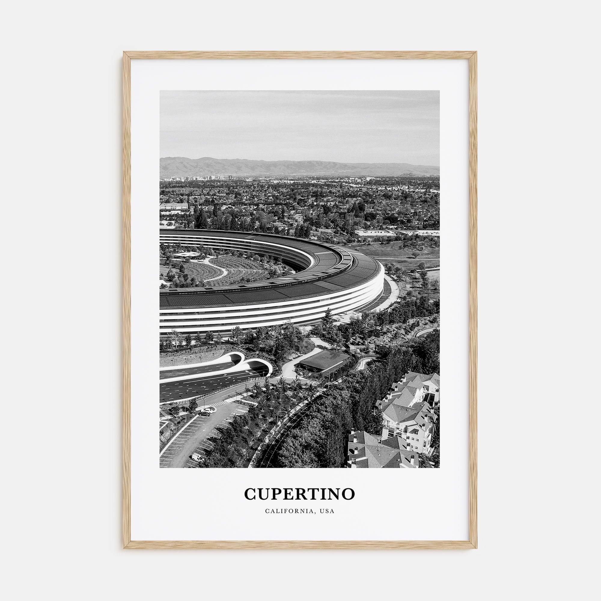 Cupertino Portrait B&W Poster