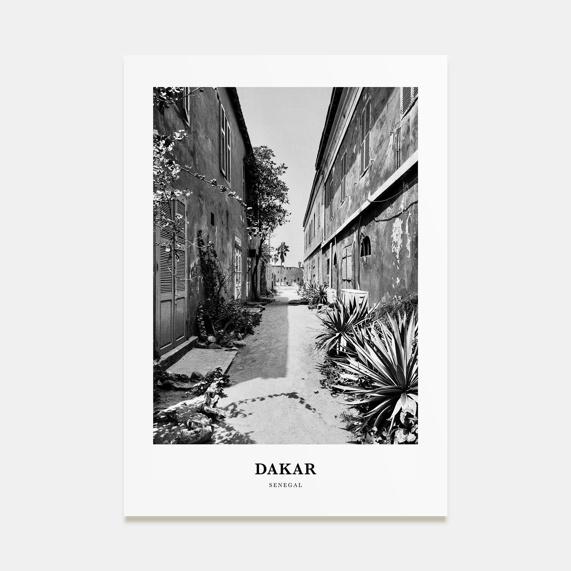 Dakar Portrait B&W No 2 Poster