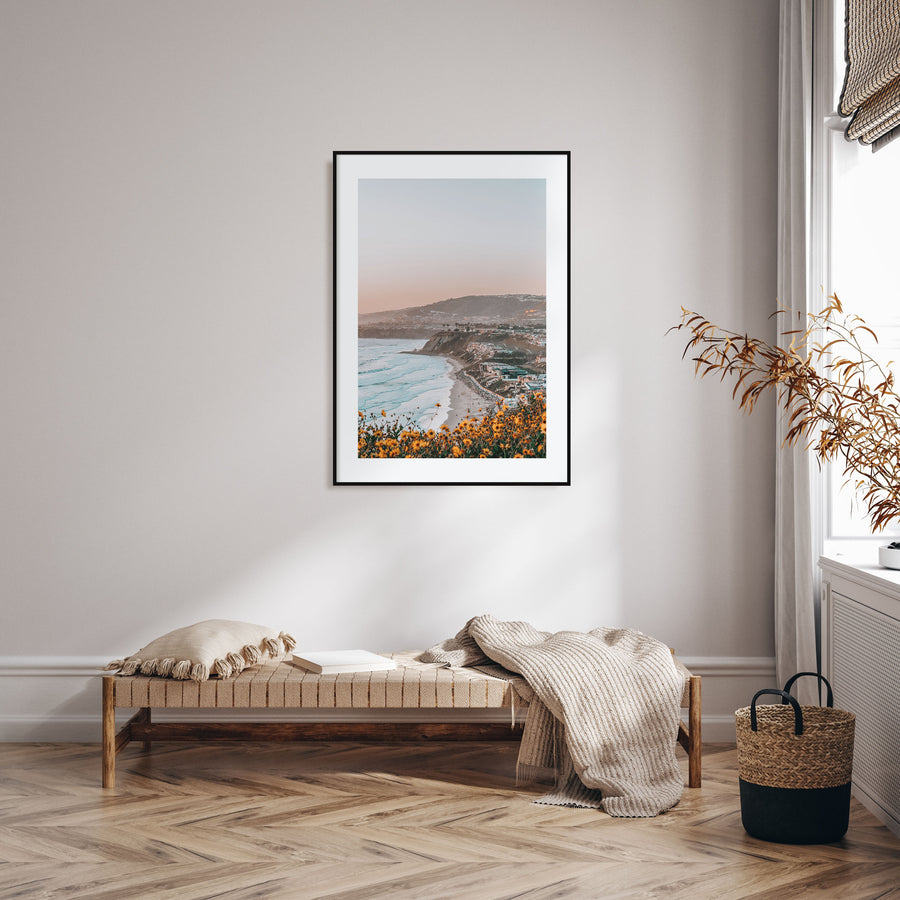 Dana Point Photo Color Poster