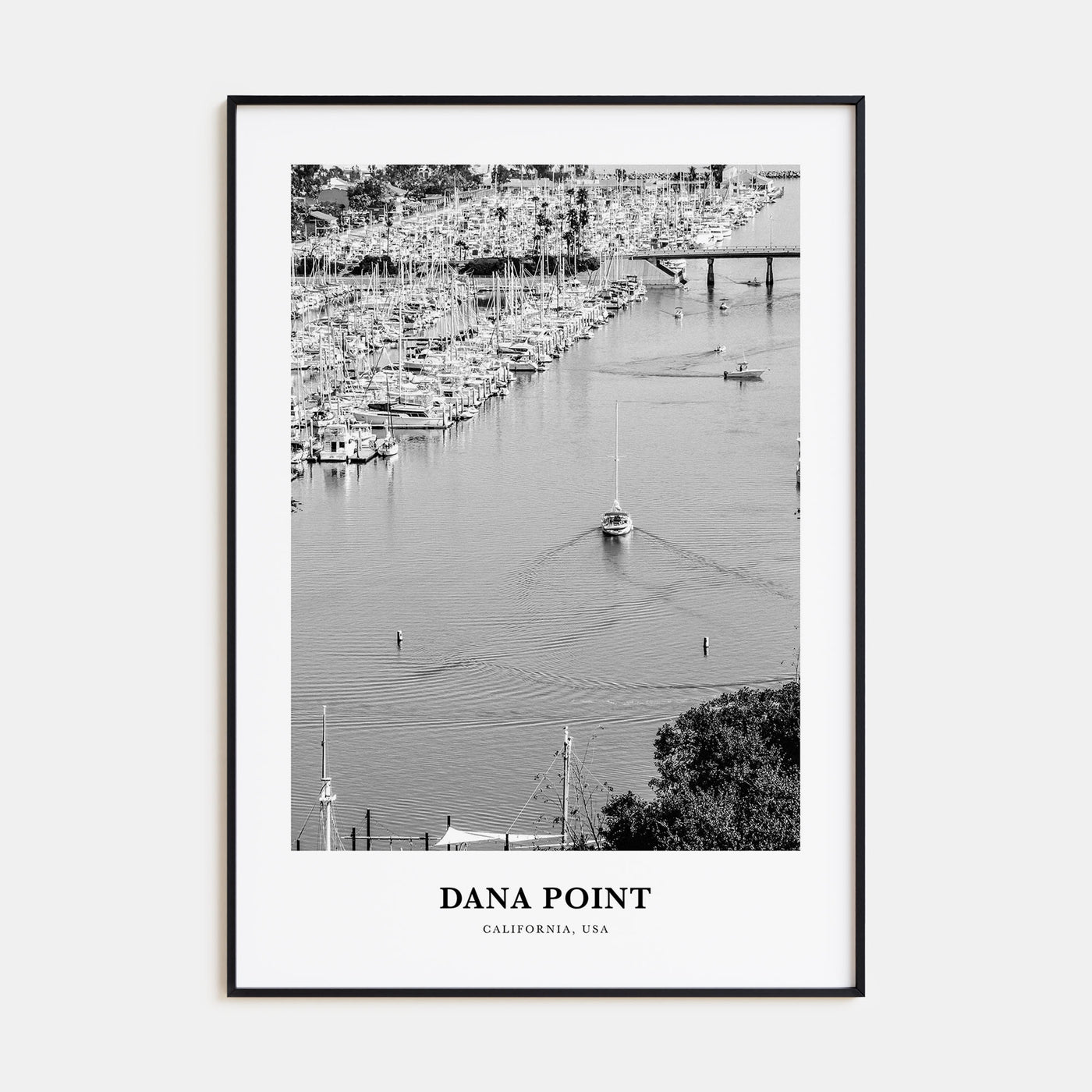 Dana Point Portrait B&W Poster