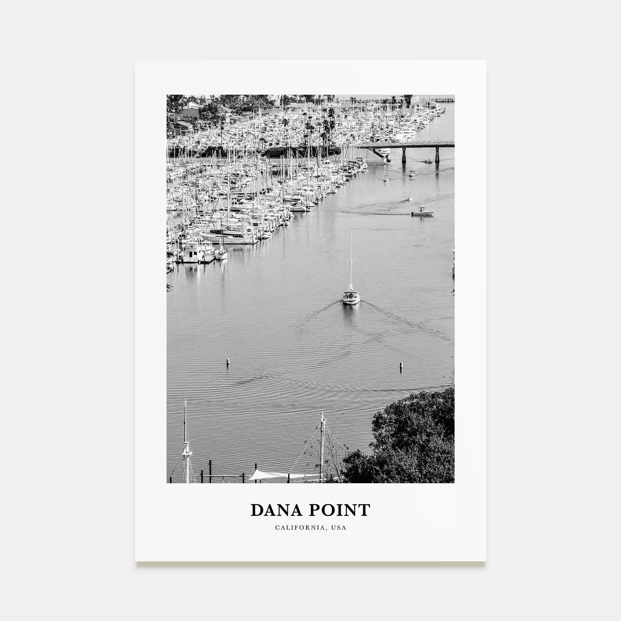 Dana Point Portrait B&W Poster