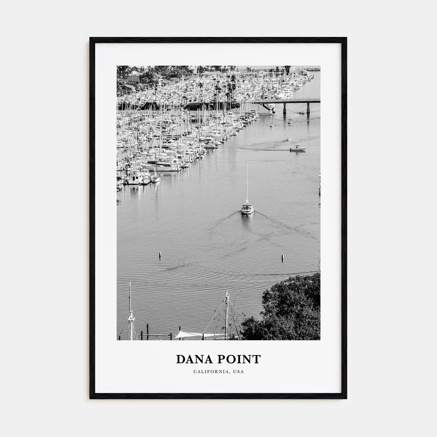 Dana Point Portrait B&W Poster