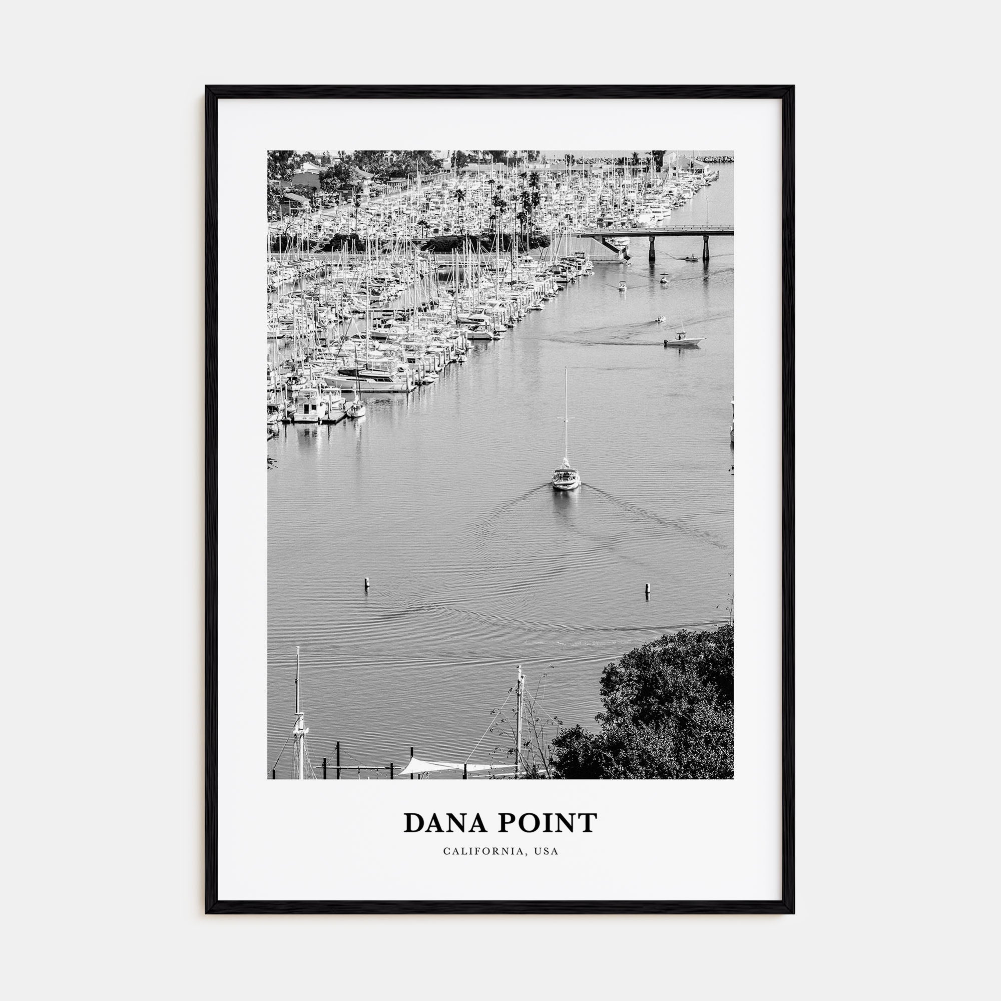 Dana Point Portrait B&W Poster