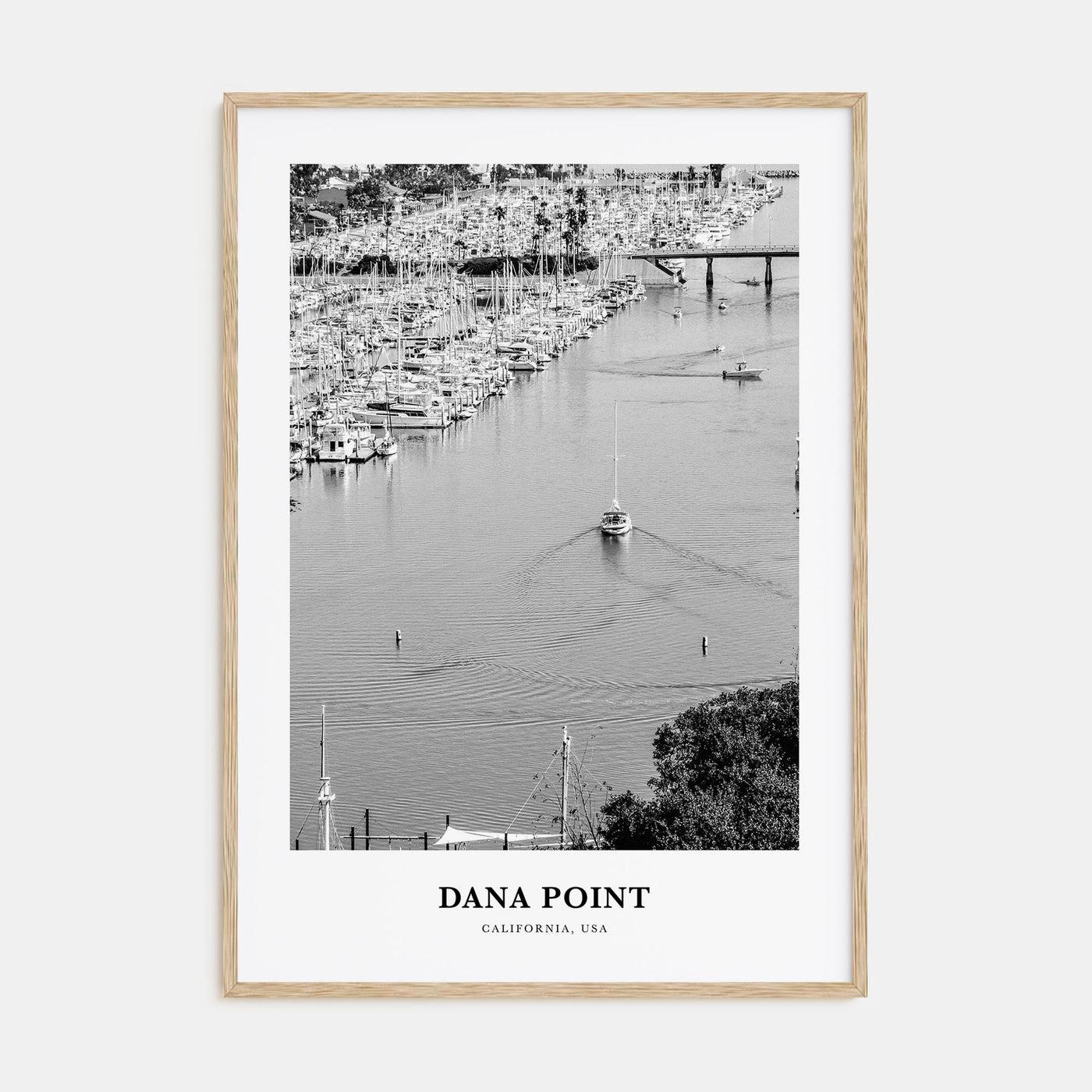 Dana Point Portrait B&W Poster