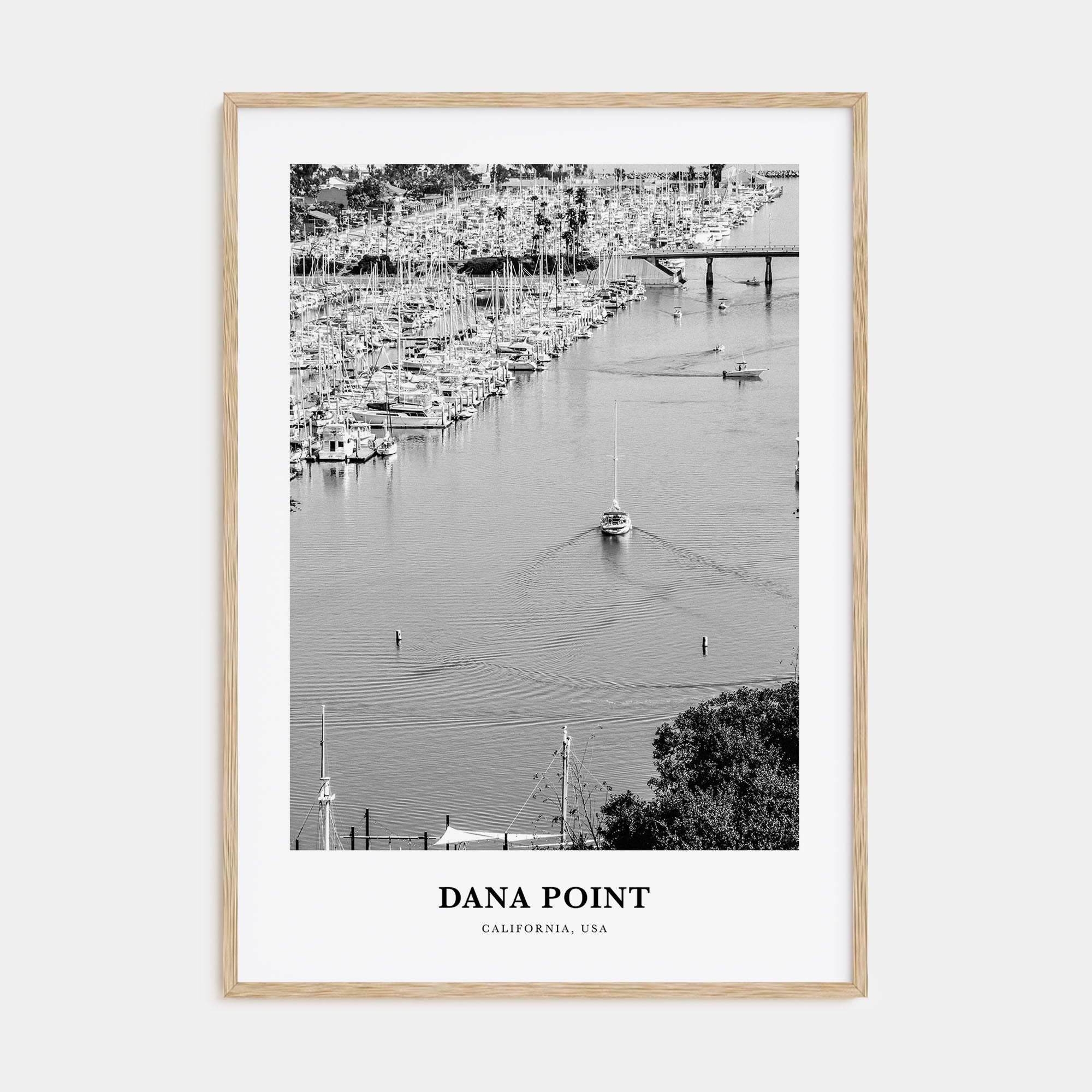 Dana Point Portrait B&W Poster