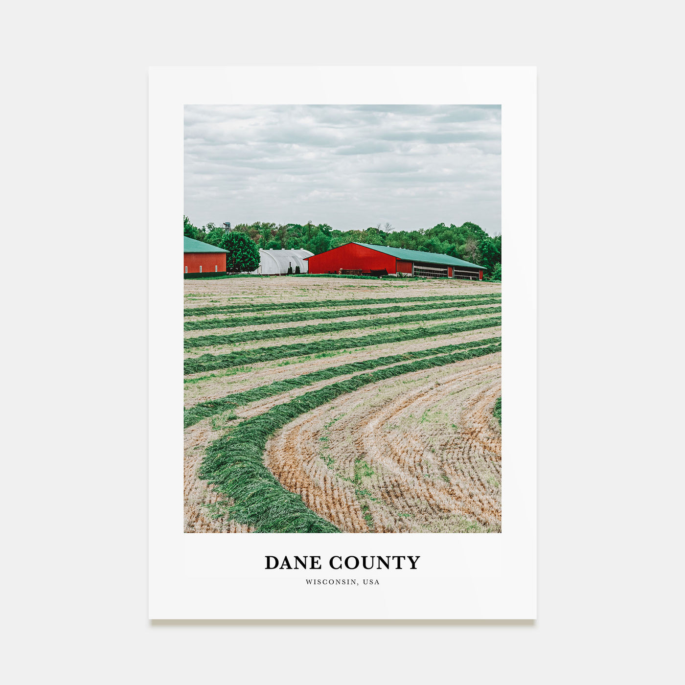 Dane County Portrait Color Poster
