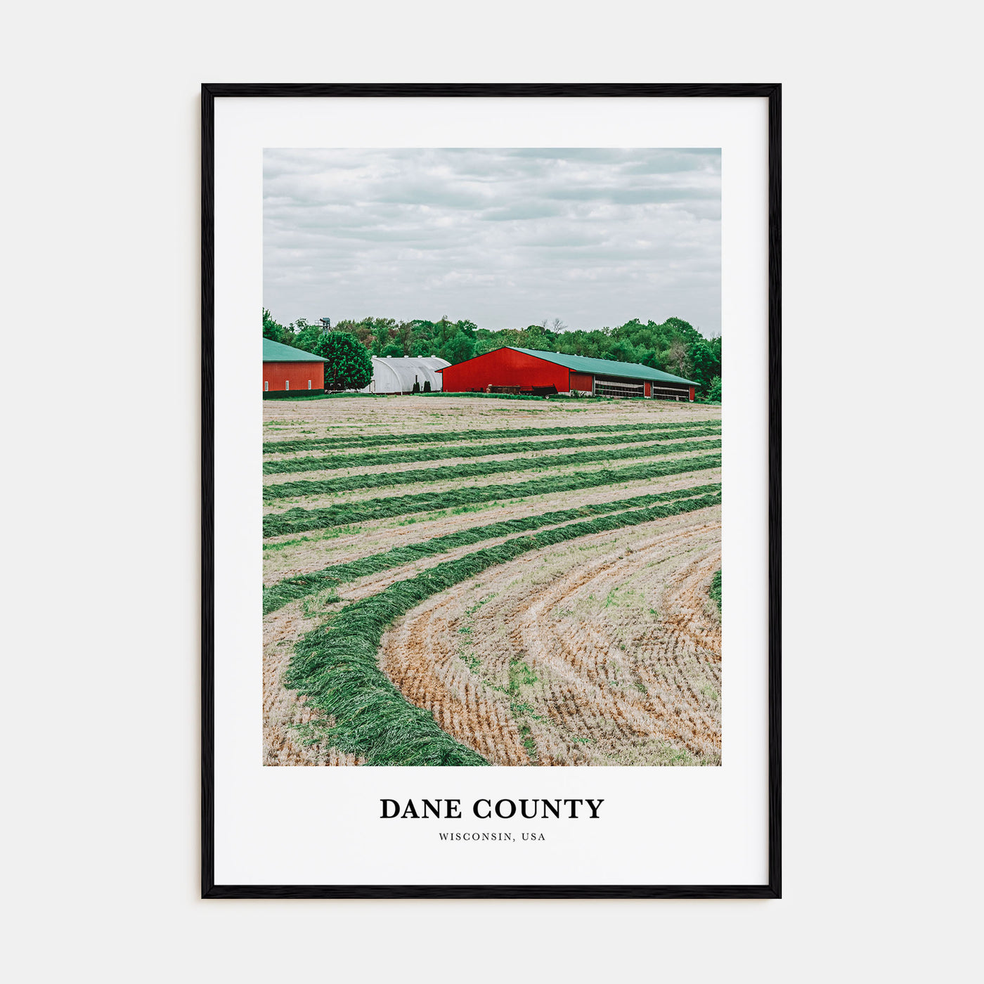 Dane County Portrait Color Poster