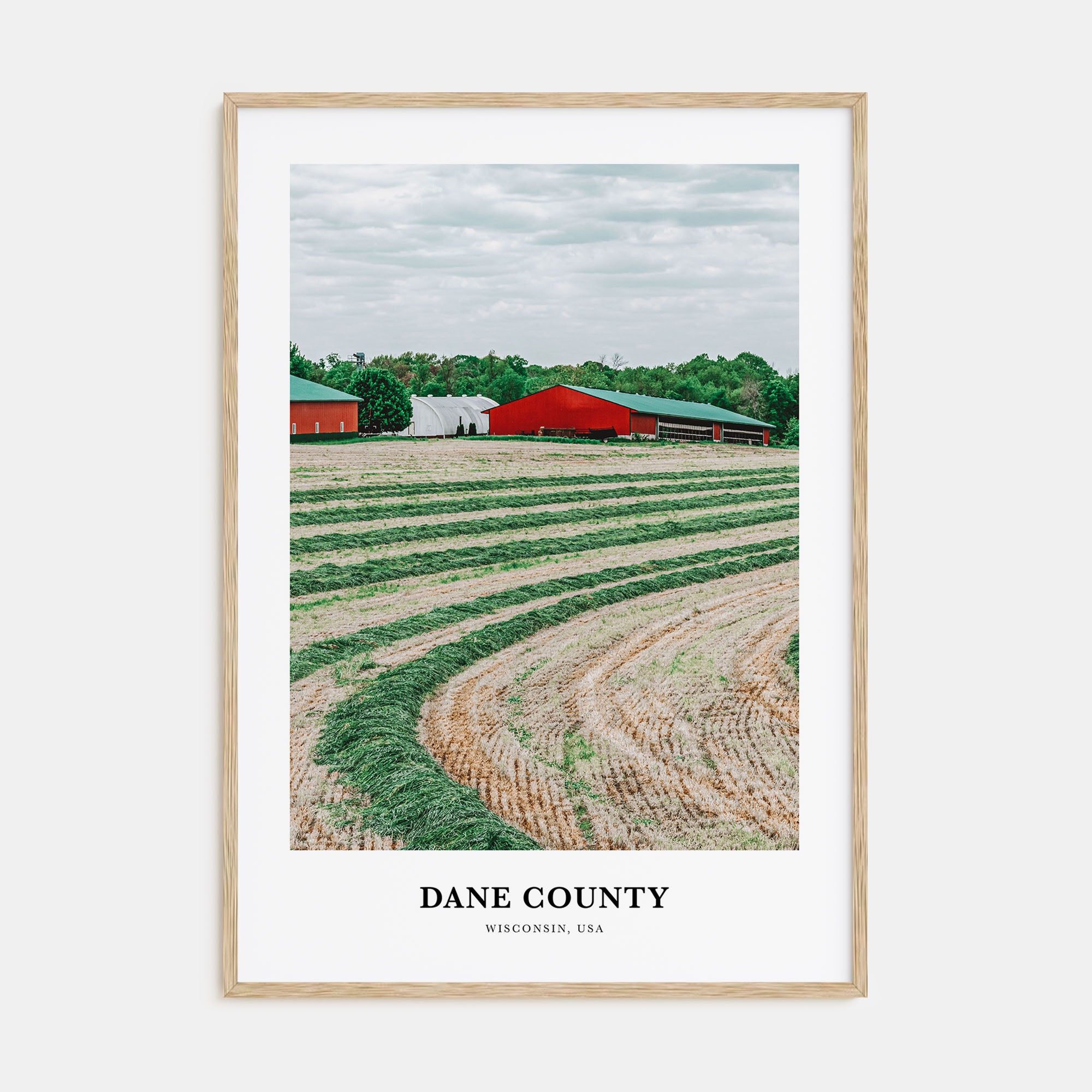 Dane County Portrait Color Poster