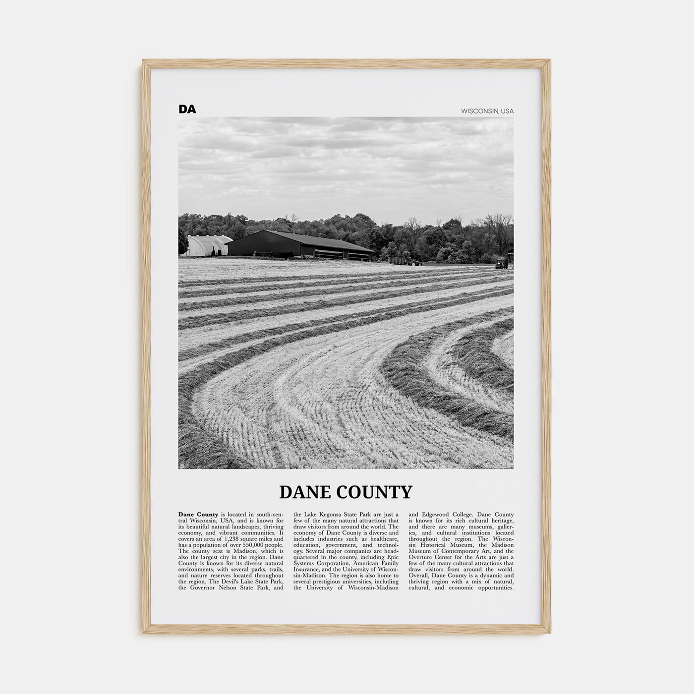 Dane County Travel B&W Poster