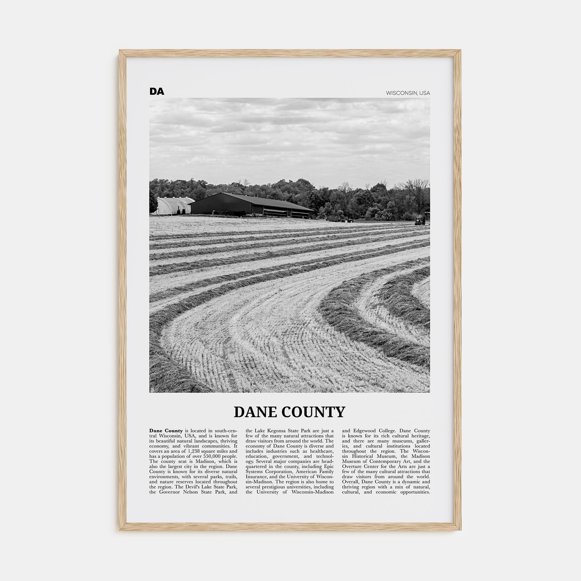 Dane County Travel B&W Poster