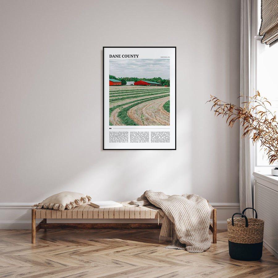 Dane County Travel Color Poster