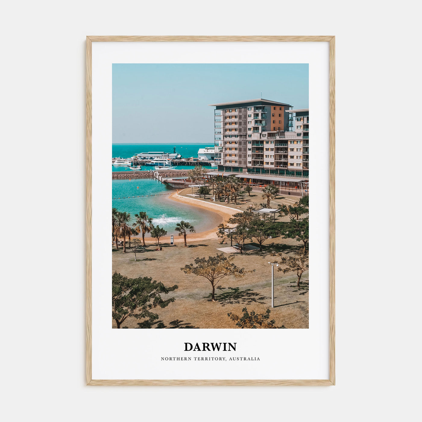 Darwin Portrait Color Poster