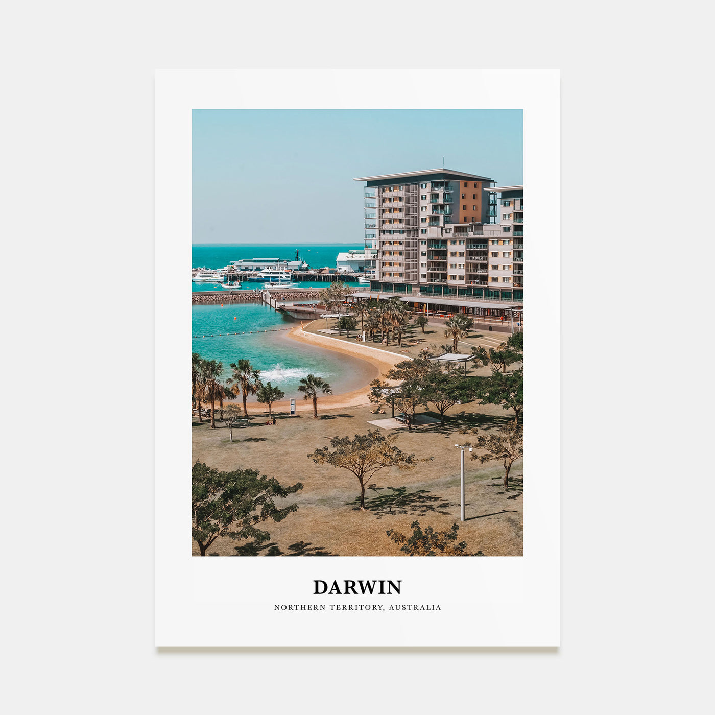 Darwin Portrait Color Poster