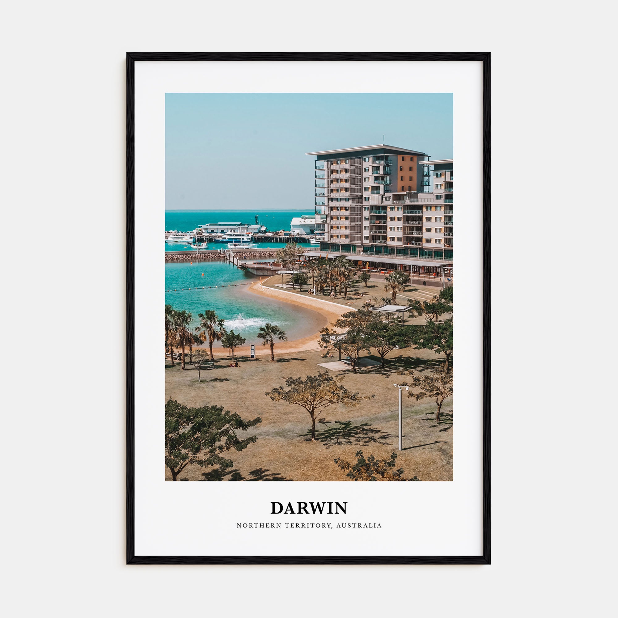 Darwin Portrait Color Poster