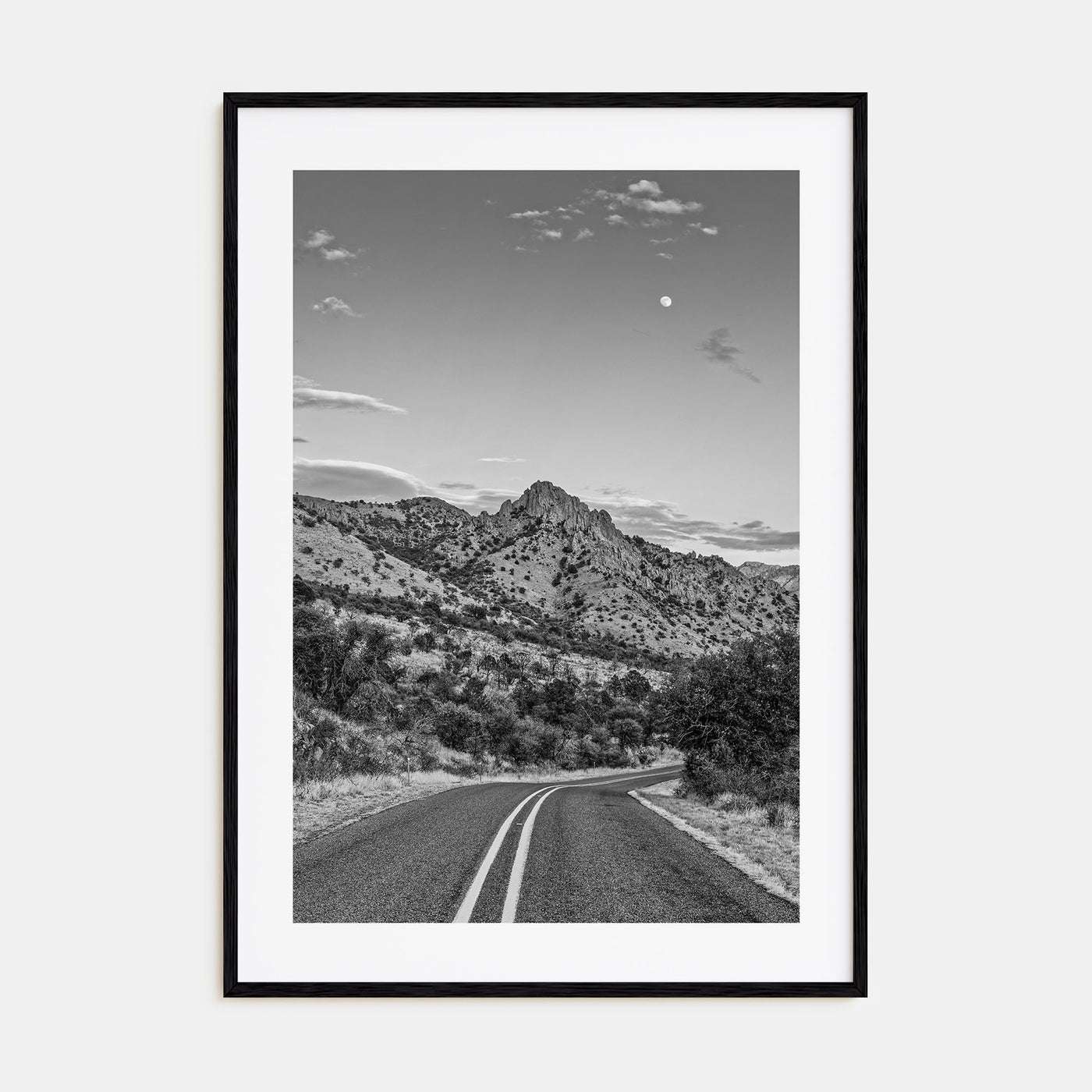 Davis Photo B&W Poster