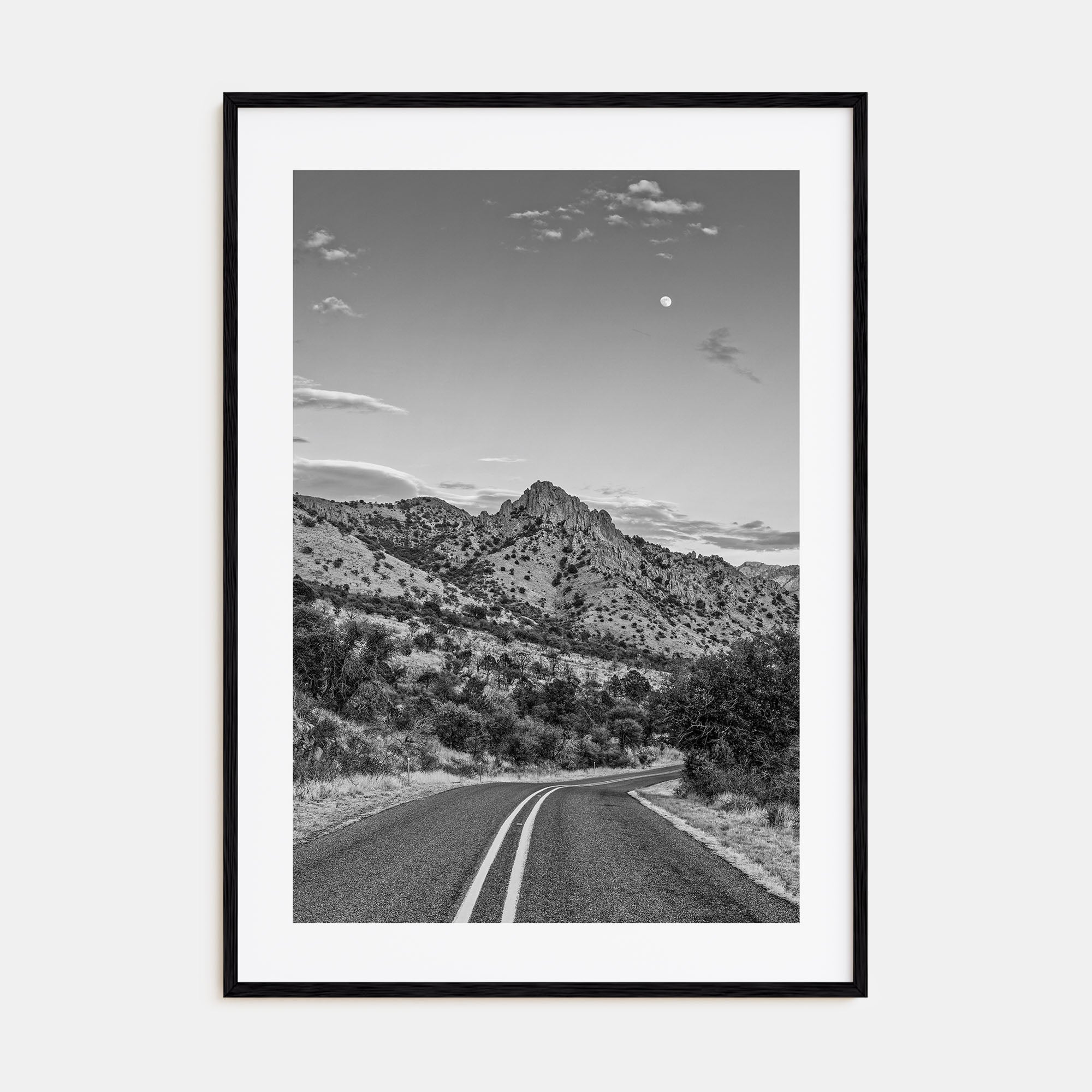 Davis Photo B&W Poster