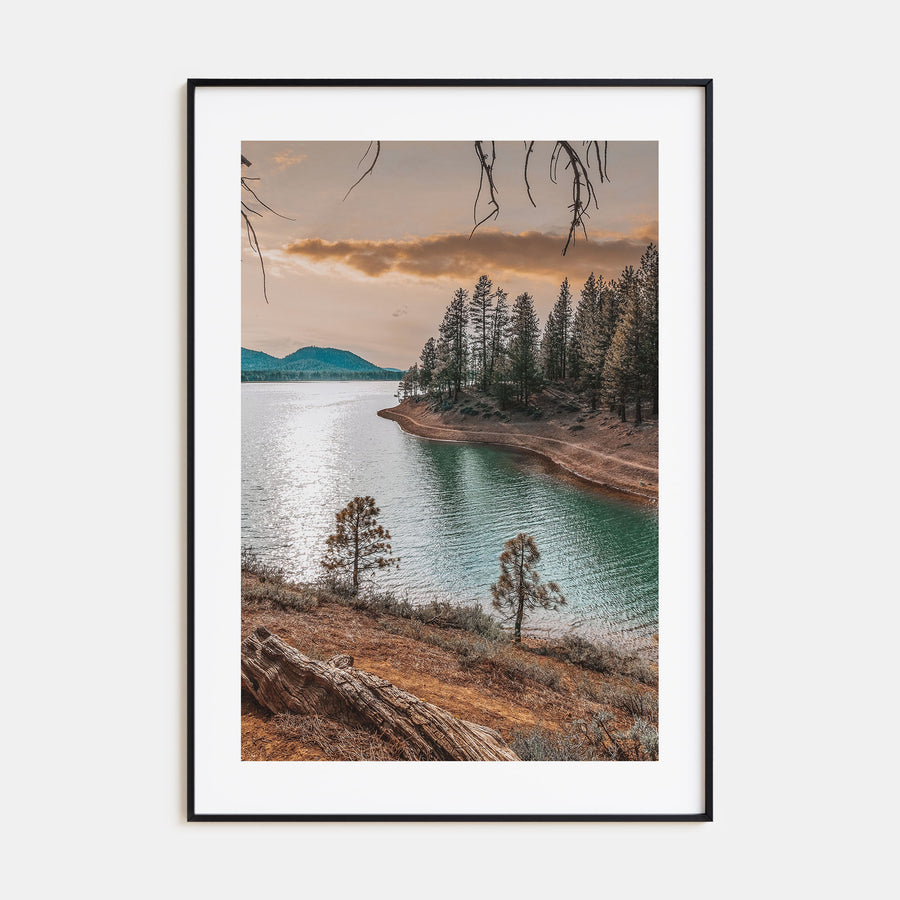 Davis Photo Color Poster